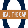 Heal The Gap